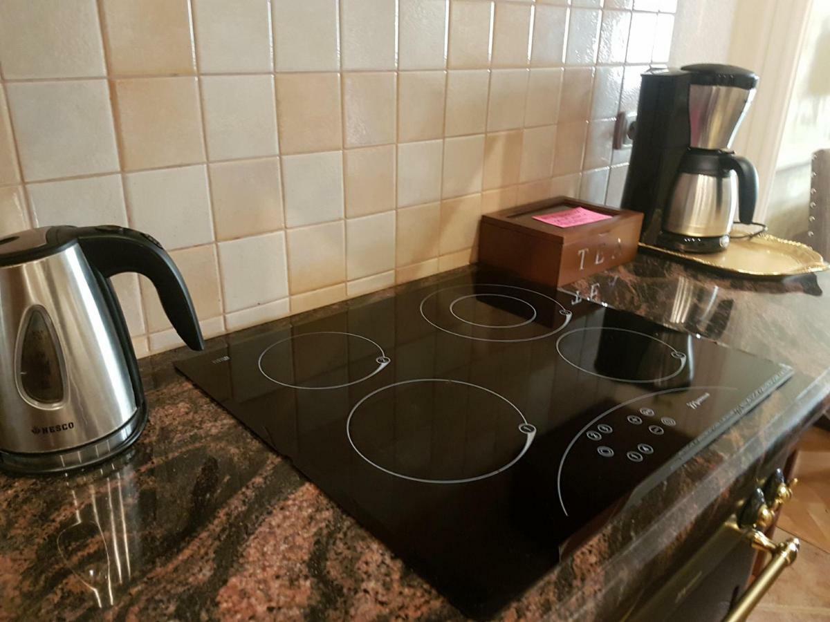 Goldstar Luxury Old Town Krakow Apartment Esterno foto